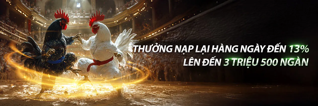 Sân đấu đá gà trực tuyến tại no789 nổ hũ