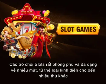 Cá Cược Thể Thao và Đá Gà no789 nổ hũ